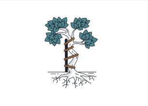 Crooked Bent Orthopedic Tree Root Cause
